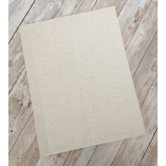 Astroparche Business Cards 65lb Card Stock Wausau Papers Professional Series - Picture 1 of 6